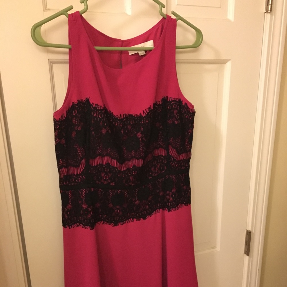 Ann Taylor Loft Dress